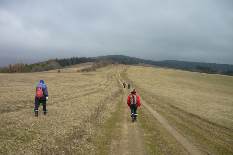 201603011 Terňa - Drienica_zmensena